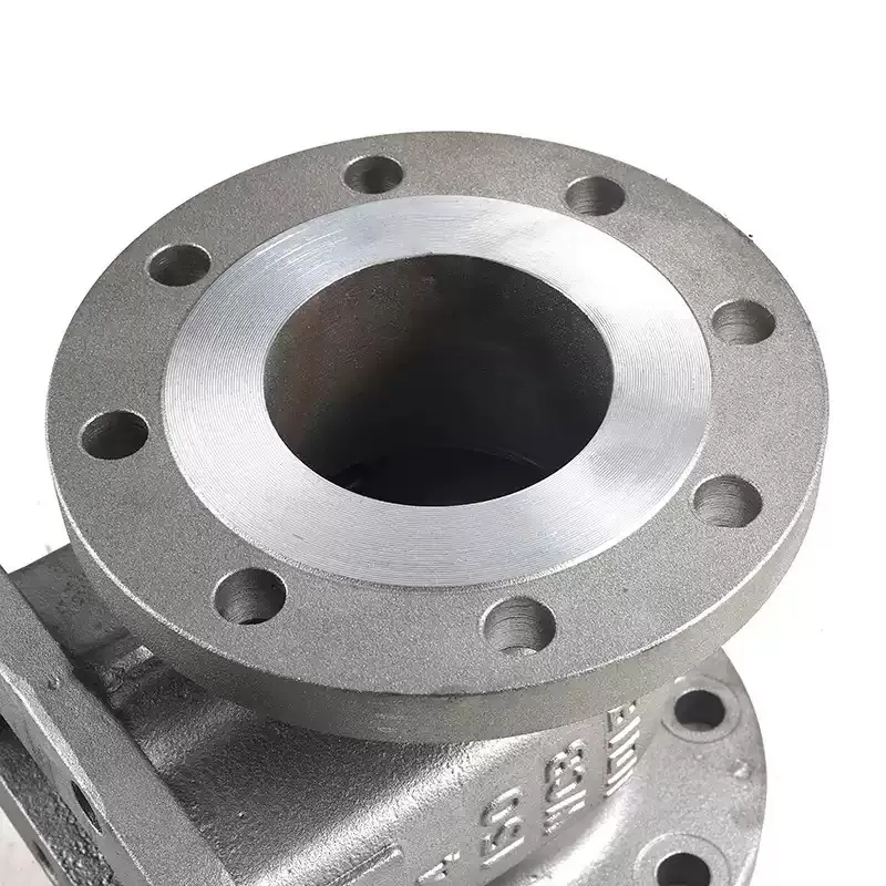 Valvola manuale a porta a flangia in acciaio inox – Vista dettagliata 1