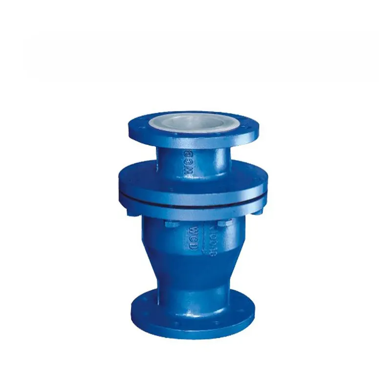 lined check valve1