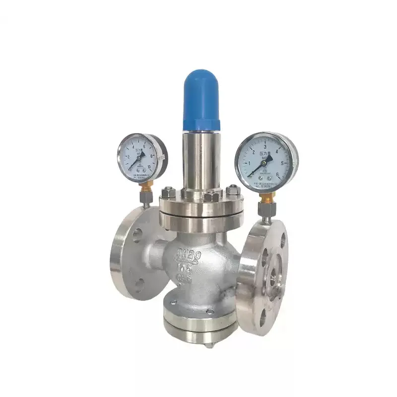 Stainless Steel Pressure Reducing Valve4