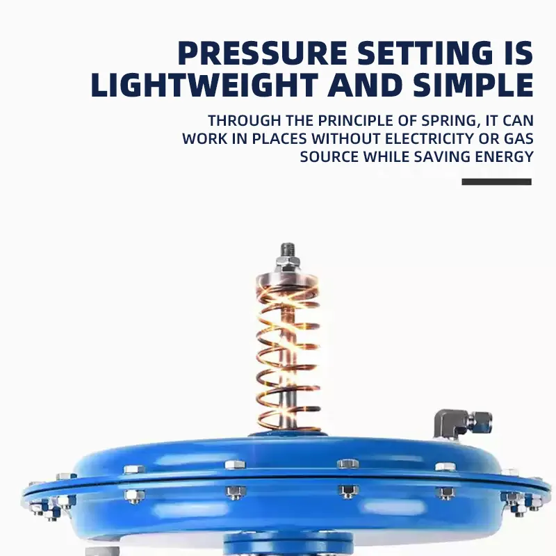 ZZYVP-16 Self-operated Nitrogen Seal Valve 4