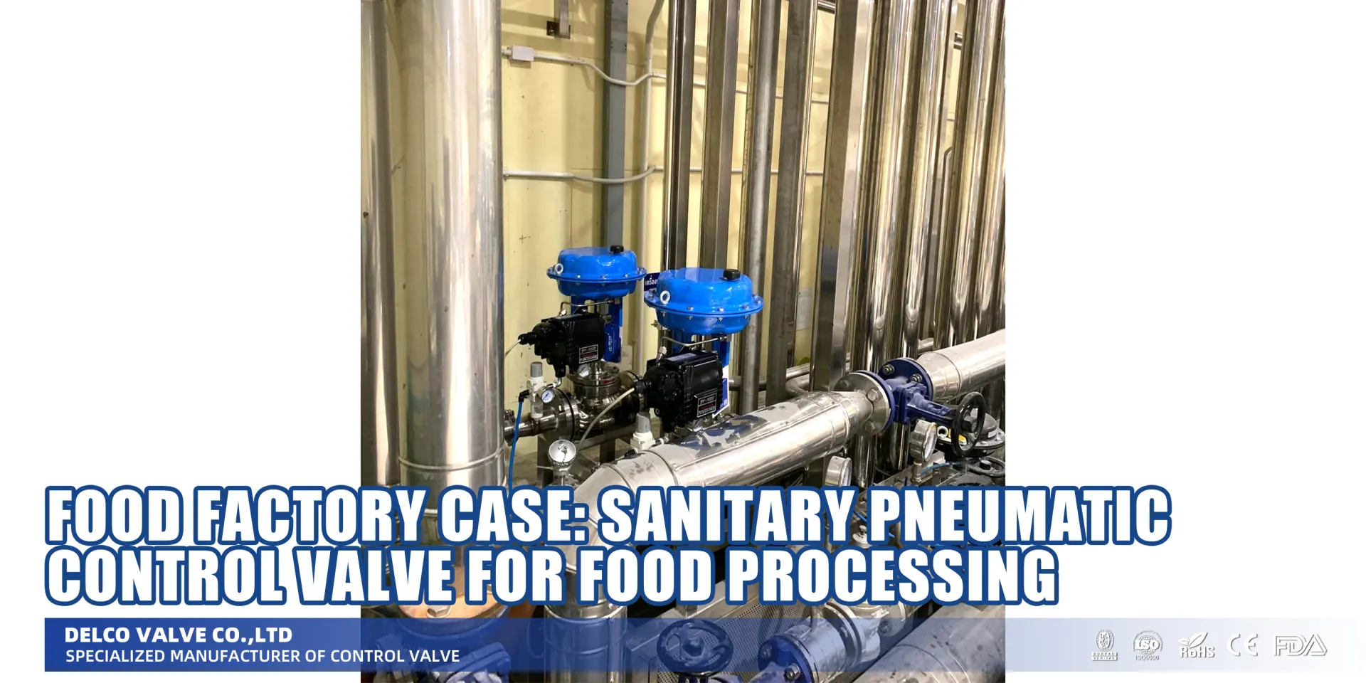 Food Factory Case: Sanitary Pneumatic Control Valve for Food Processing