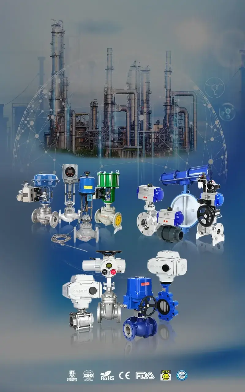 https://it.delcovalves.com/wp-content/uploads/2026/08/China-Valve-Manufacturer-21-Years-of-Manufacturing-Experience.webp